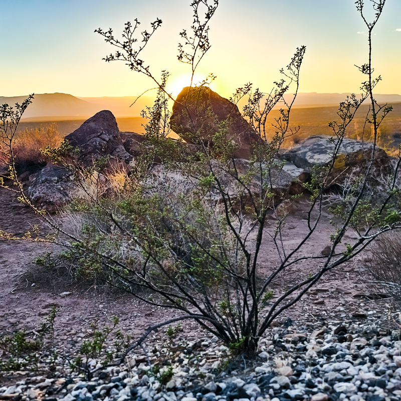 Red Mountain Wilderness of Utah